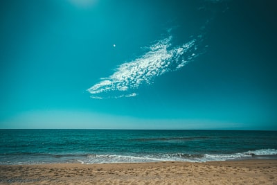 蓝天白天在海滩上
